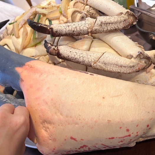 广州活发皇帝蟹