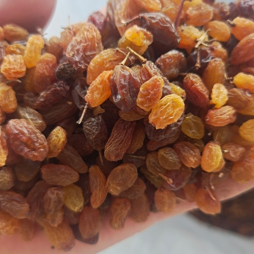 鄯善县红干 葡萄干