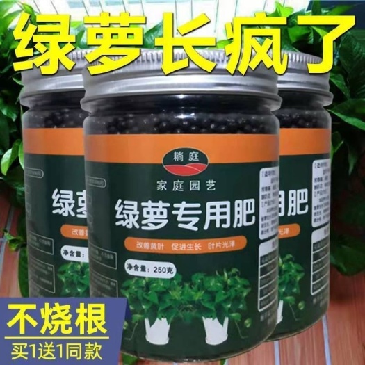 绿萝肥料专用肥预防黄叶促长藤有机肥料家用缓释肥水培水养通用型