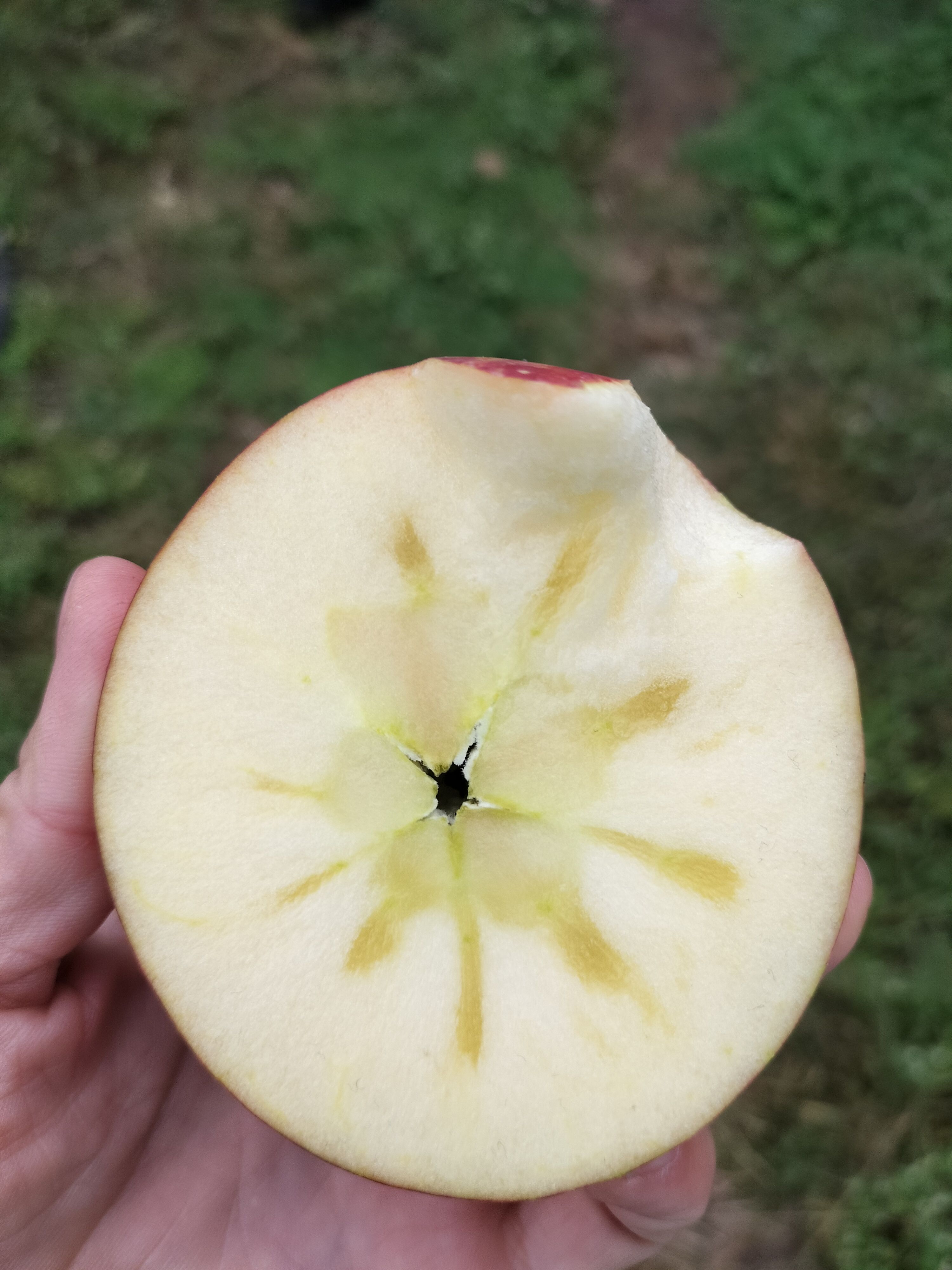 盐源苹果