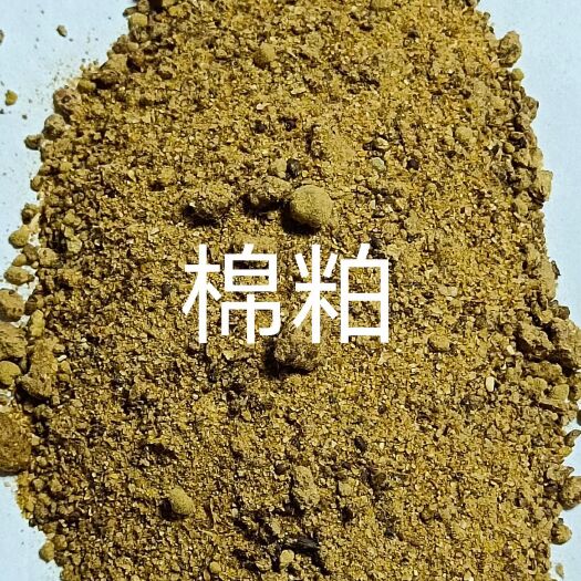 石家庄棉粕 蛋白46－50 各大厂家棉粕