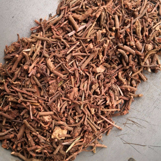 南阳河南伏牛山茜草全草，带根，红色根
