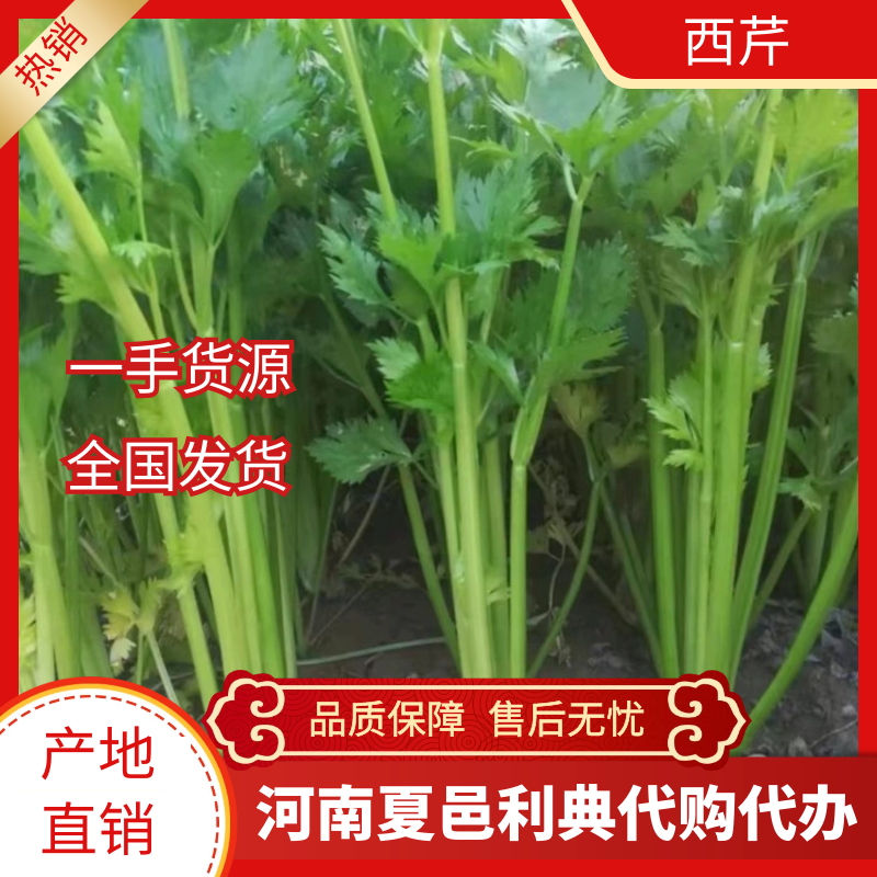 河南夏邑利典果蔬代購(gòu)代辦