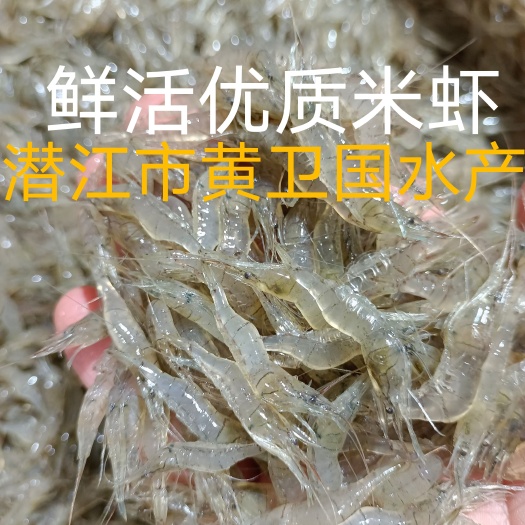 优质鲜活米虾，产地湖北潜江市，打包全国发货，联系黄卫国水产