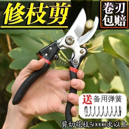 原装德国进口修枝剪粗枝剪园艺园林家用剪刀家用剪刀