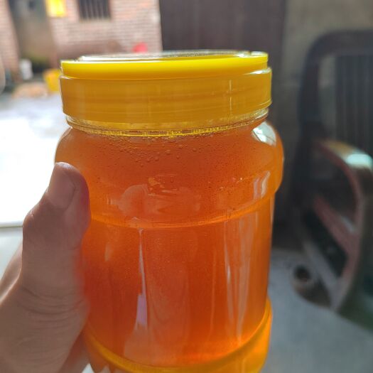 新丰县自家养殖，土蜂蜜，质量保证