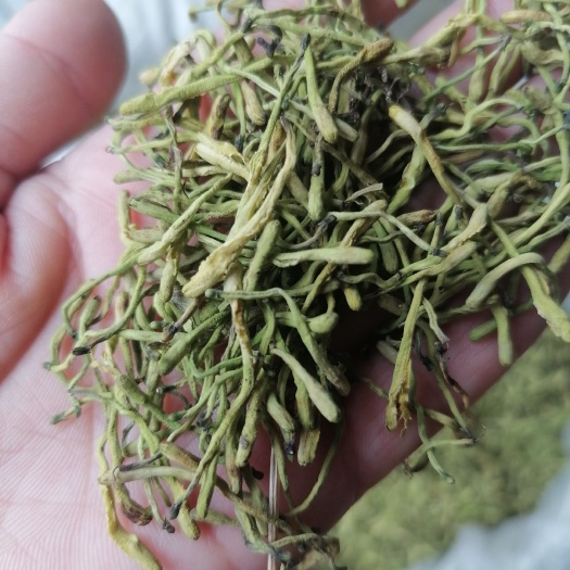 鄄城县山银花，产地货源【鲁赣药材批发】