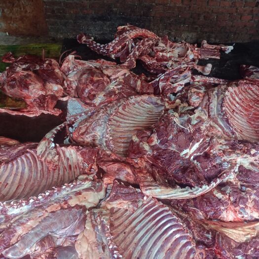 唐县鲜驴肉