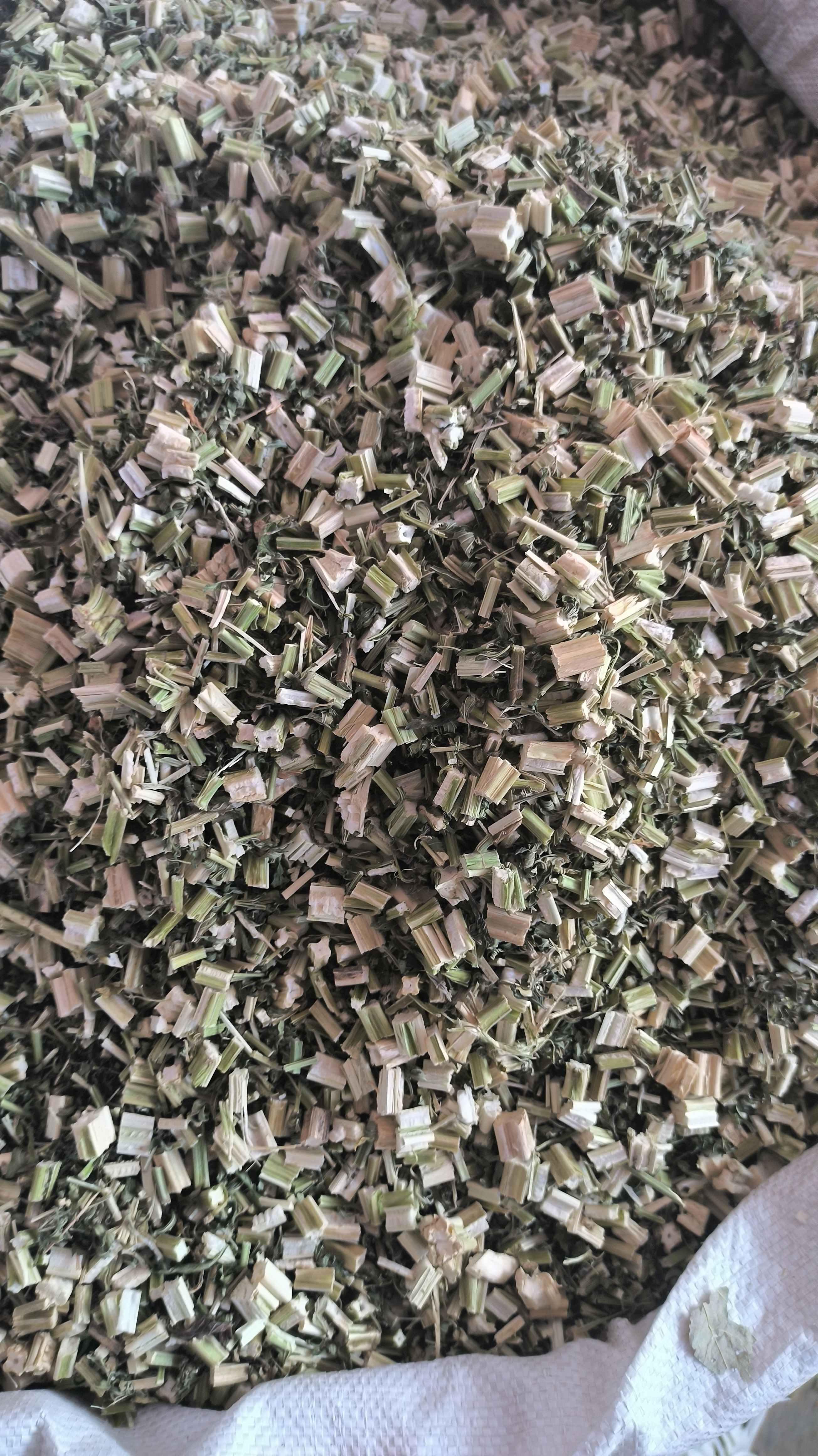 益母草 干货益母草 益母草 无硫干净益母草地道中药材