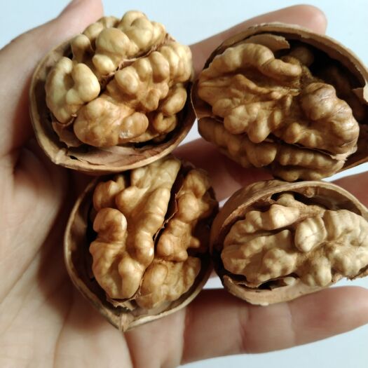 赞皇县新疆185尖白头路核桃仁，25年坚果源头厂家