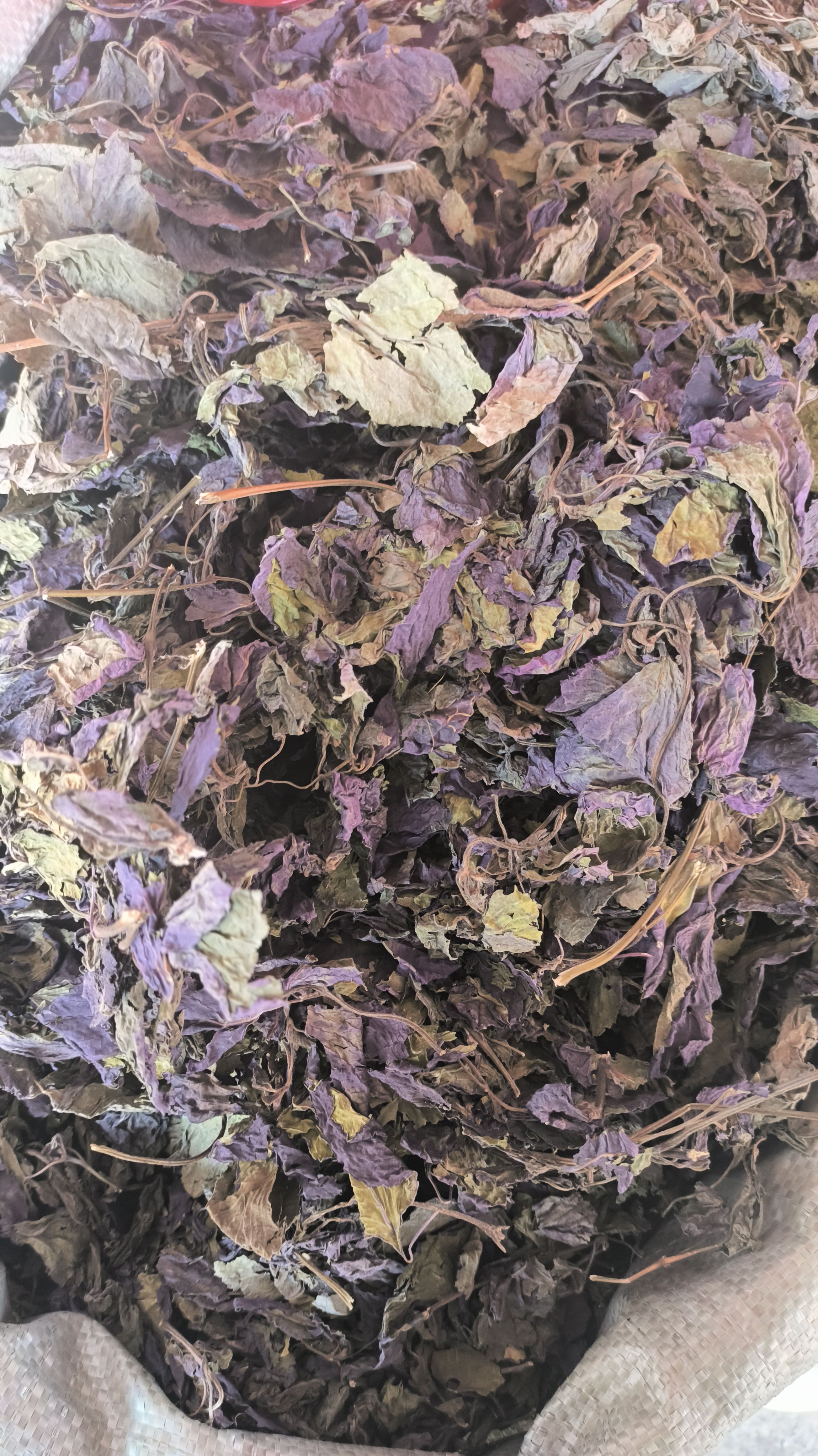 紫苏叶 干紫苏 无硫草药紫苏叶 地道中药材紫苏叶 干货无硫