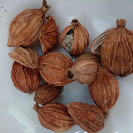 鄄城县香砂