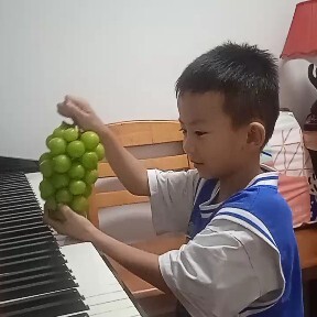 宁阳县精品阳关玫瑰
