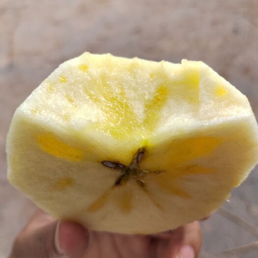 宁蒗县高原糖心苹果