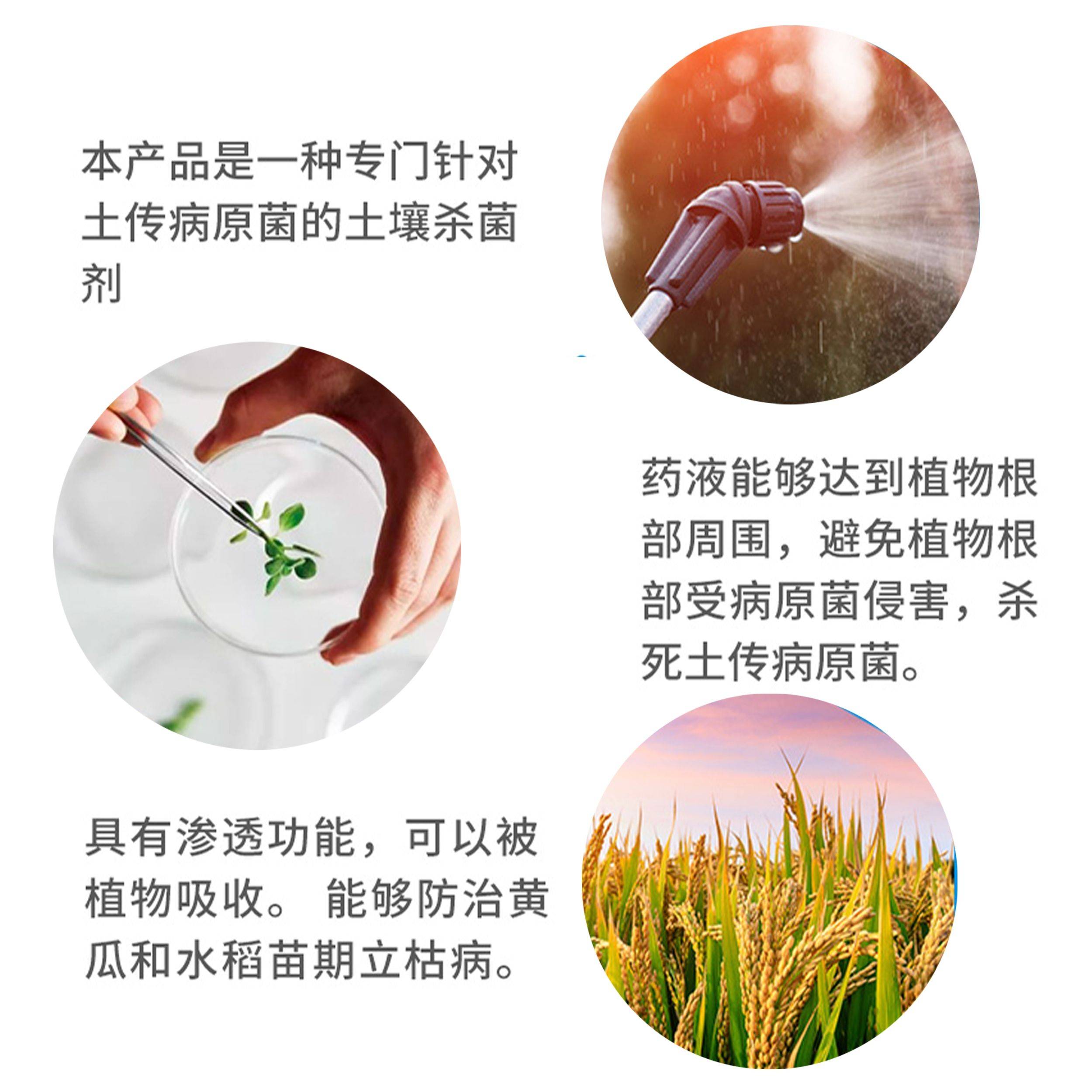 杀菌剂甲霜恶霉灵 30%甲霜噁霉灵根腐病死苗烂根枯萎病猝倒病