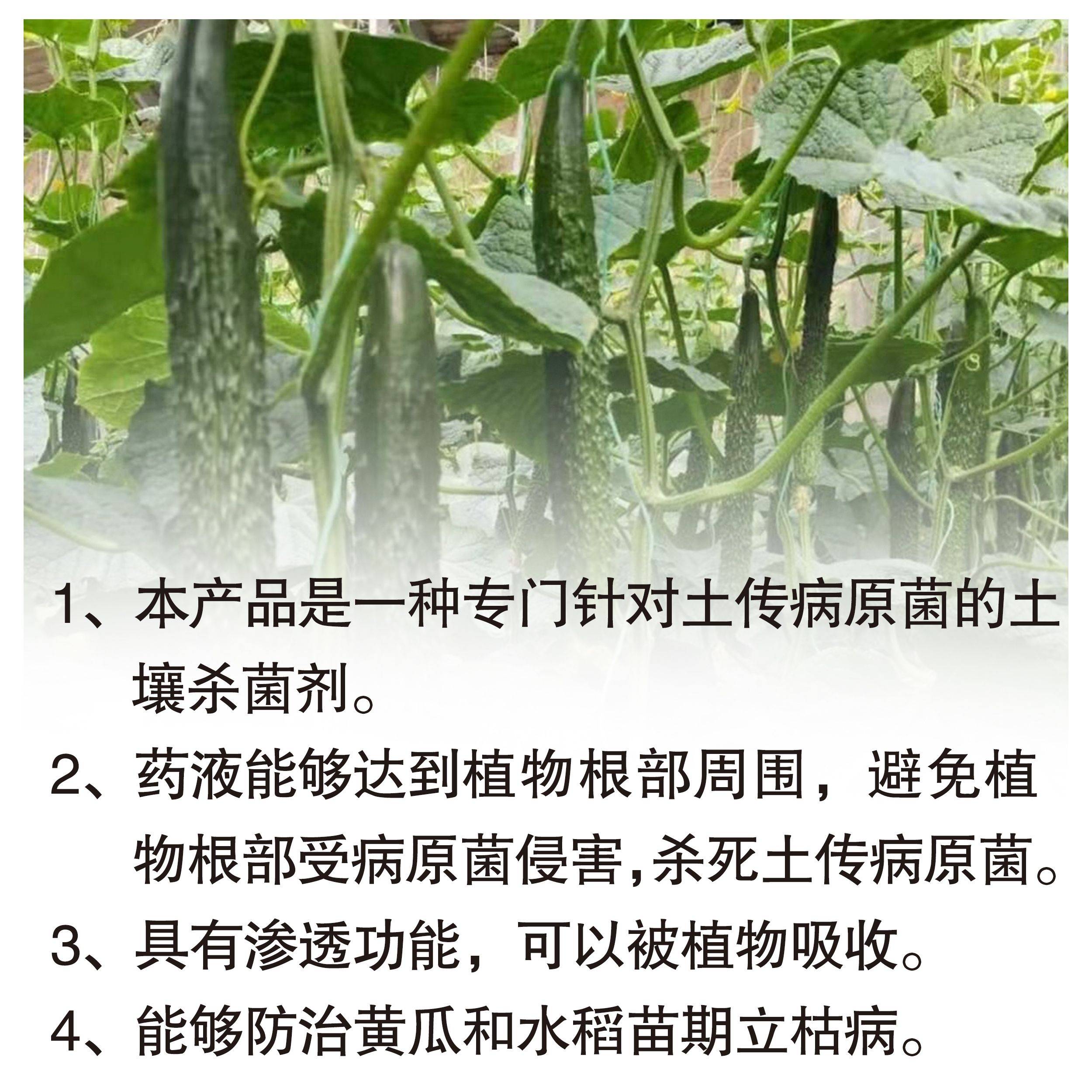 杀菌剂甲霜恶霉灵 30%甲霜噁霉灵根腐病死苗烂根枯萎病猝倒病