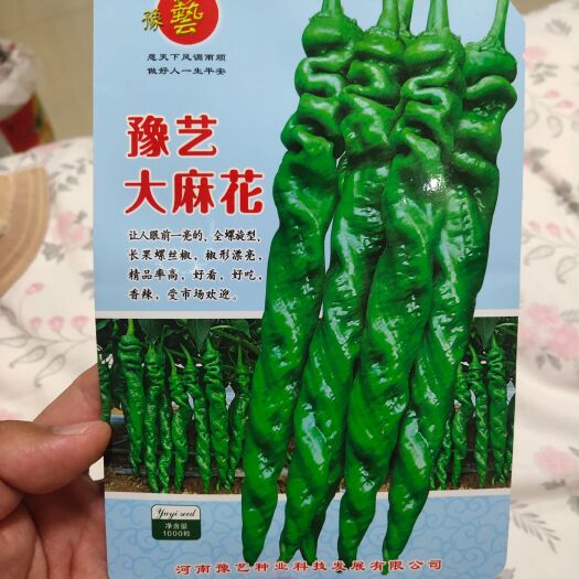 豫艺螺丝椒种子一螺到底长果40厘米皮薄肉脆全是好吃好看