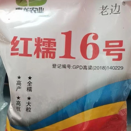 高粱种子红糯16号高粱 糯米 矮秆酿酒专用红高粱种子红糯16