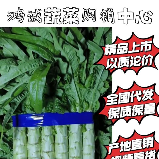 兰陵县精品红叶莴笋