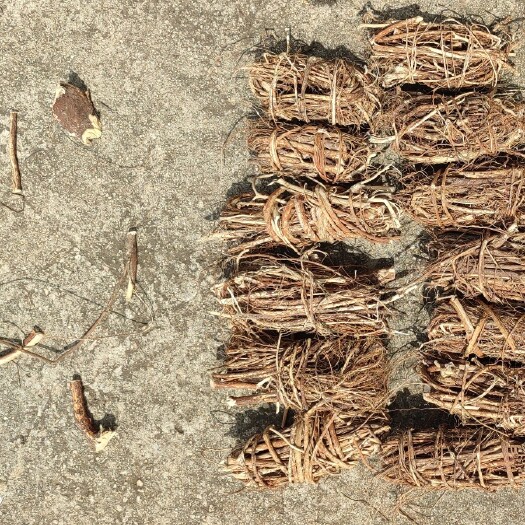 东源县纯长扎，小扎，小节，大节。