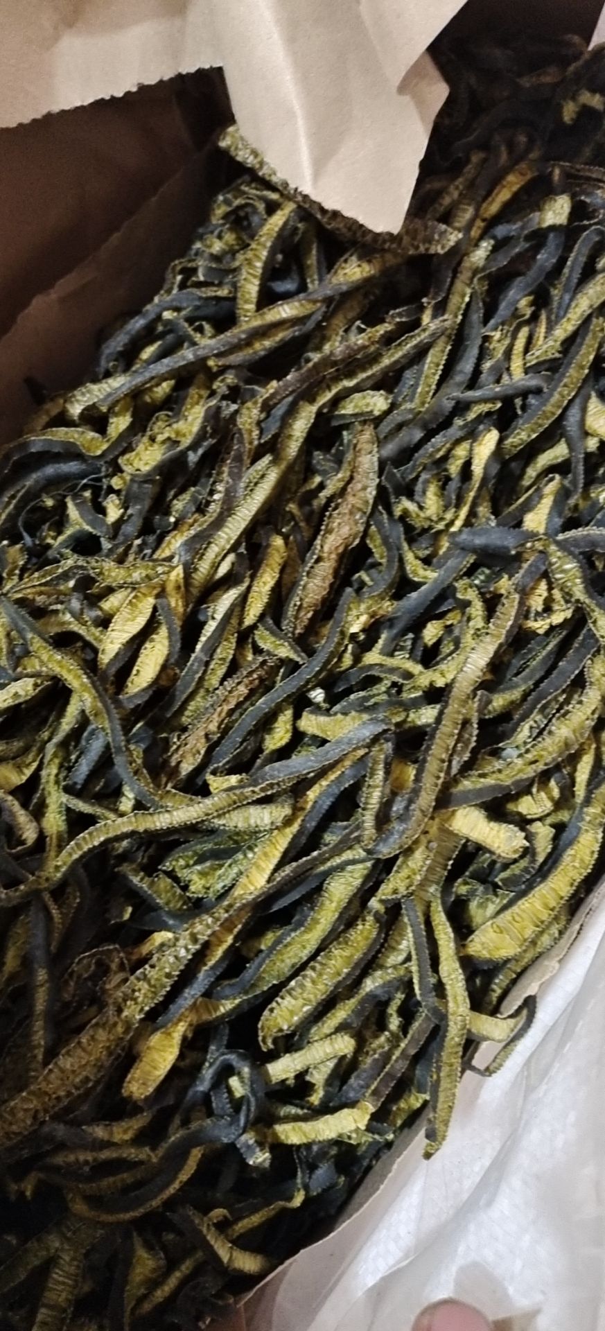 包邮！干海茸海笋海松茸海茸片凉拌干货30斤大海里的美味鲜香