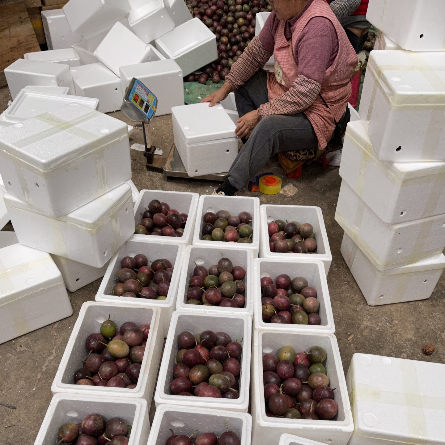 批发/一件代发云南紫皮百香果直供酸酸甜甜好吃