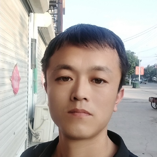 启东市纯种诺比亚黑山羊