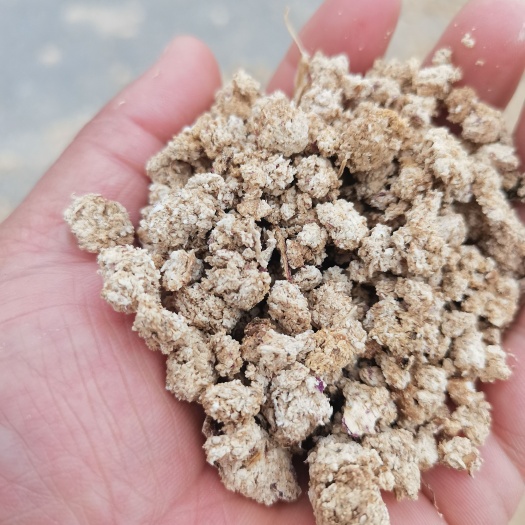 菏泽新鲜饲料级红薯渣