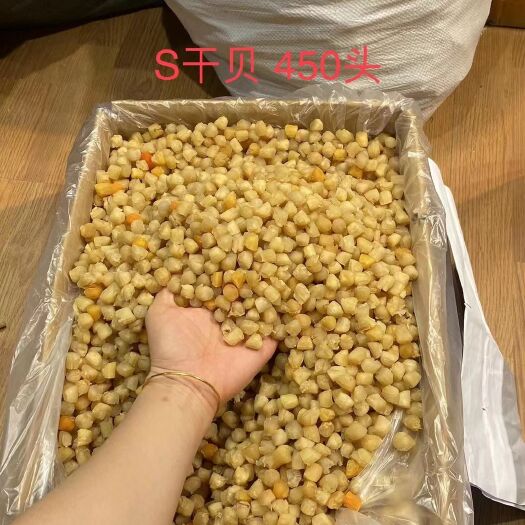350头大粒干贝瑶柱又鲜又好吃 煲粥 煮汤美味 补钙营养