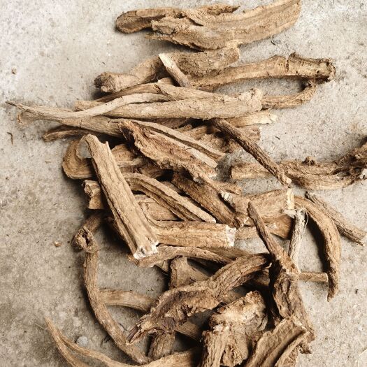 巫溪木香统货