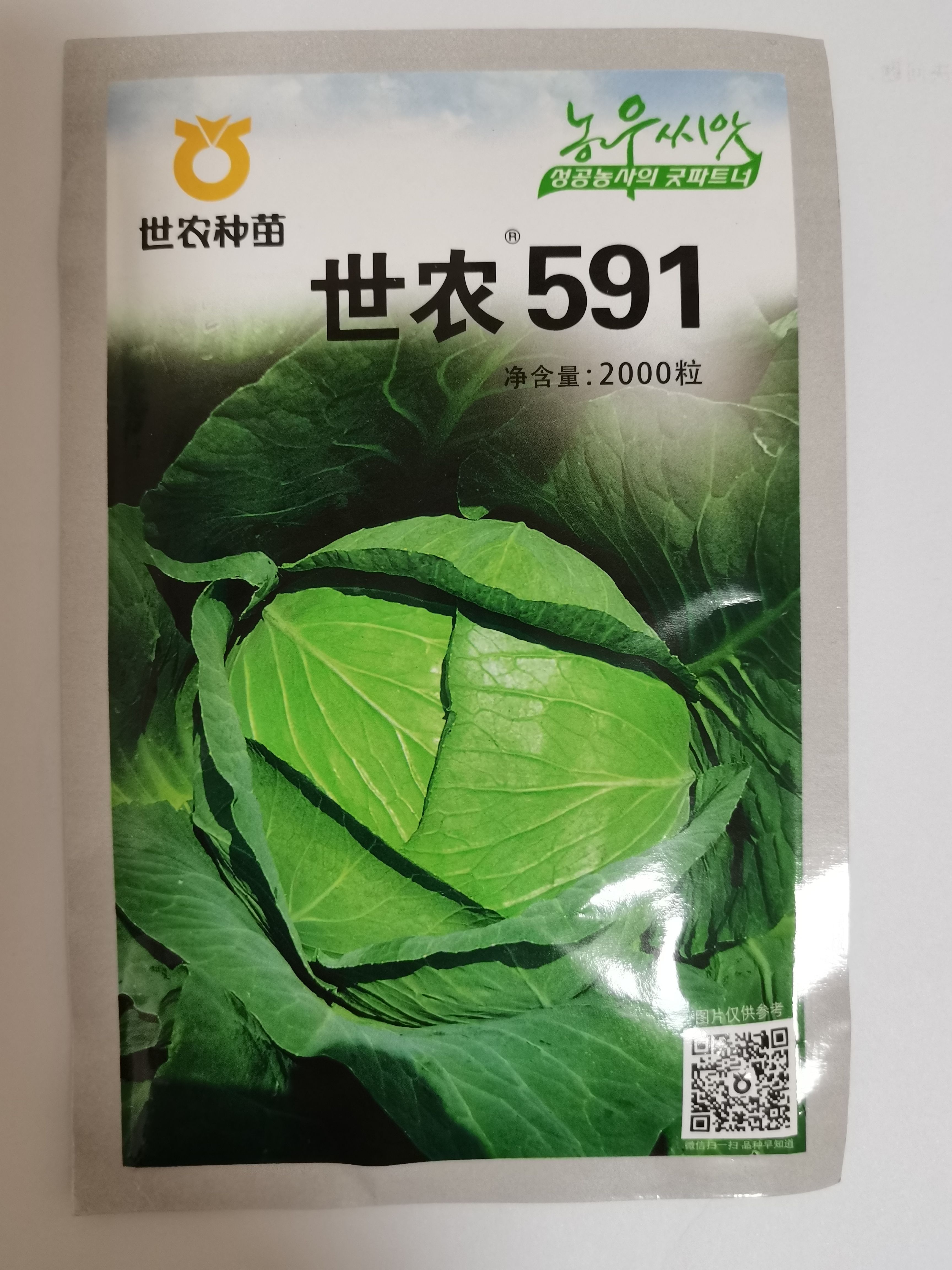 世农591甘蓝种子莲花白包菜卷心菜平顶圆白菜扁球抗病春秋