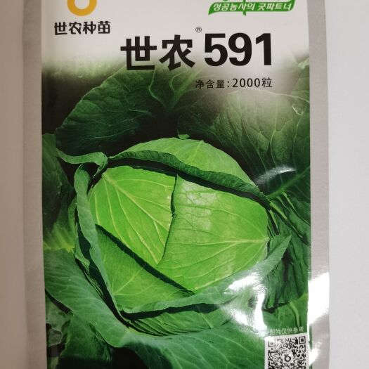 世农591甘蓝种子莲花白包菜卷心菜平顶圆白菜扁球抗病春秋