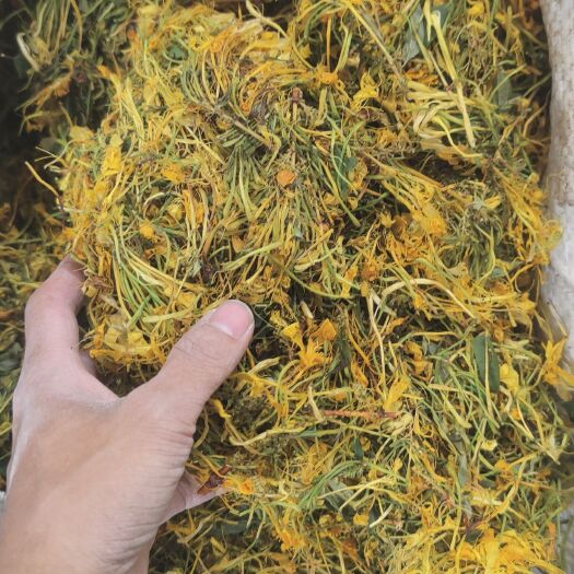 广州特级贵州五彩花  贵州山银花