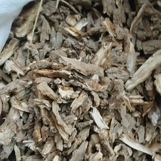 长沙地骨皮