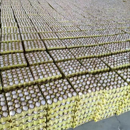 汝州市普粉33-35，现货600箱到1000箱