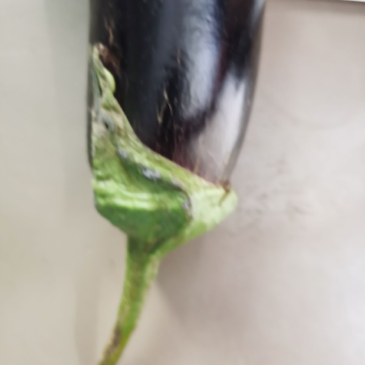 灵璧县茄子上市，需要的可联系，每天可供应3000斤。