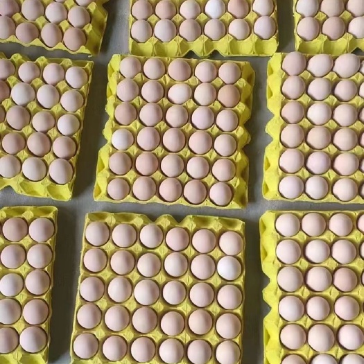 汝州市普粉33-35现货600箱到1000箱