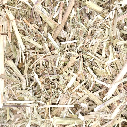 正阳县基地新花生秧大量上市，纯绿货营养高，育肥的好草质量有保证。