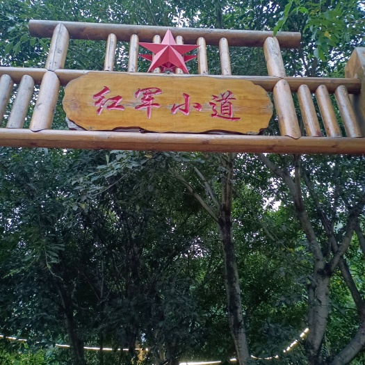 禄劝县本地新米上市
