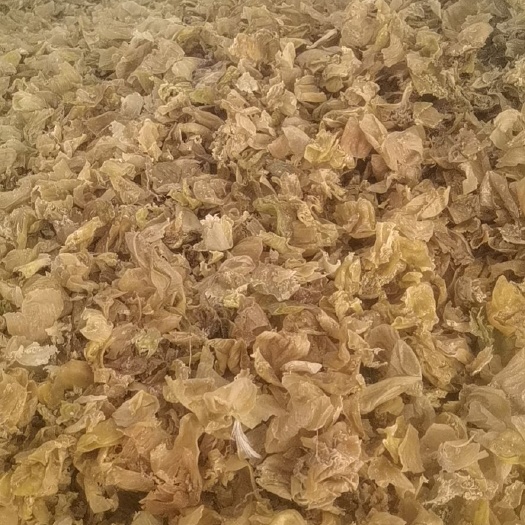 平邑县山东鸡内金