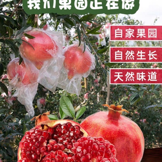 西安皮薄汁甜临潼特产铁炉红石榴