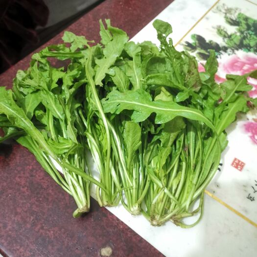南阳新鲜大叶荠菜