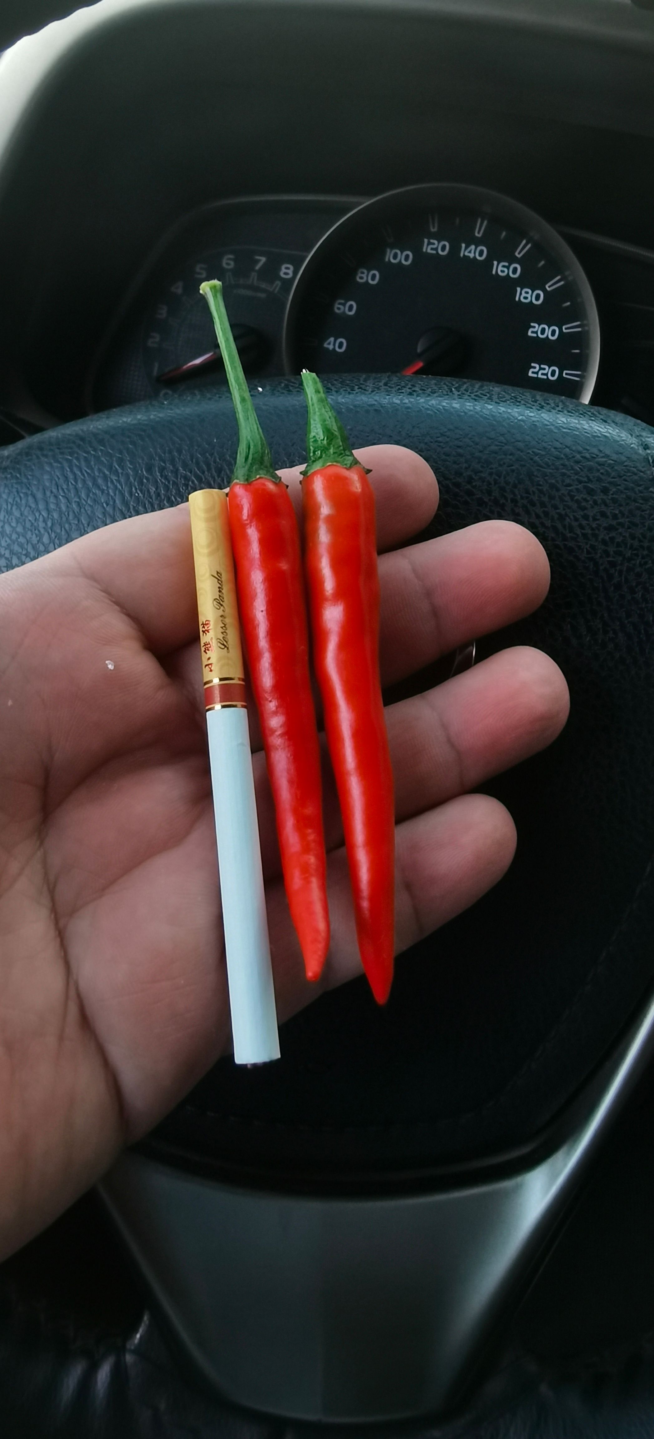 小米椒  缅甸小米椒 小米辣 大量有货 整车发货