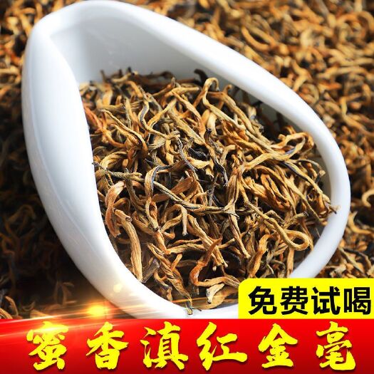 景东县滇红古树2023新茶红茶云南滇红古树红茶散装茶叶批发