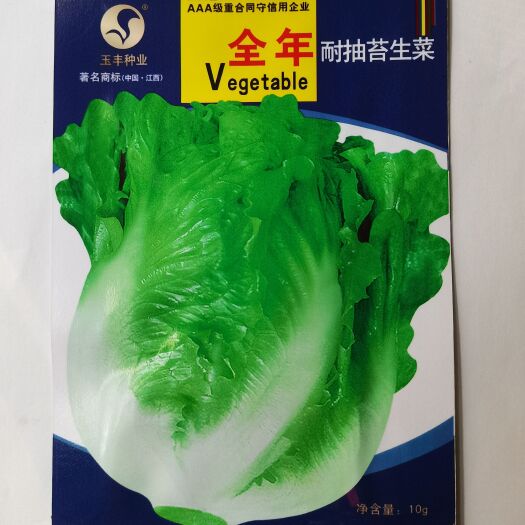 武汉生菜种子批发包邮玻璃意大利生菜种子四季种植生菜种子