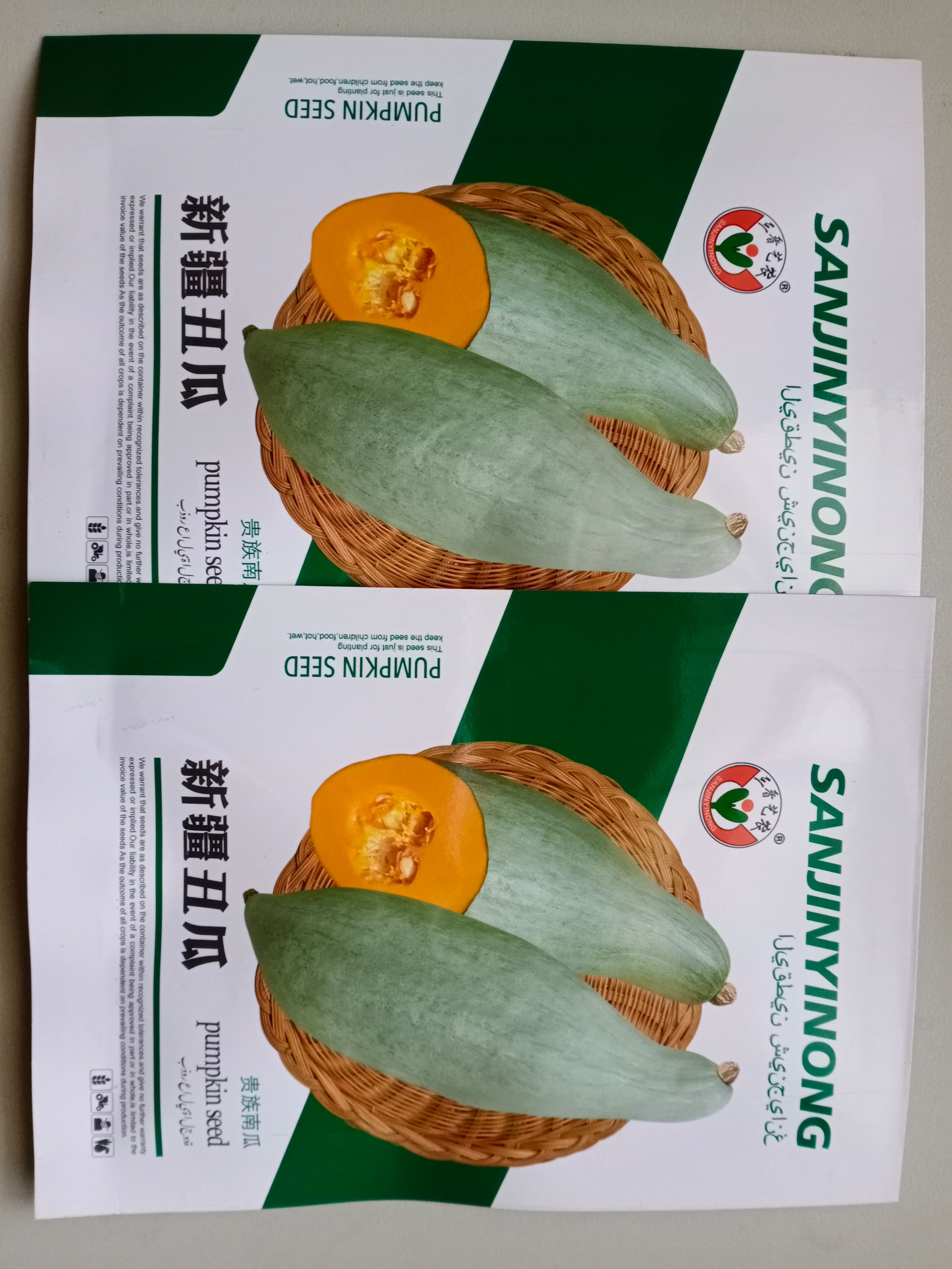 贵族南瓜种子  蜜瓜种子 香甜甘面的南瓜种子新品种