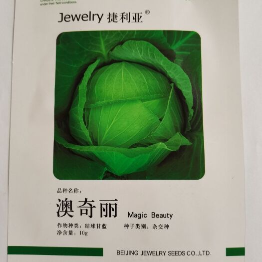 武汉捷利亚甘蓝种子包菜种籽春夏秋冬包心菜籽高产卷心菜原装