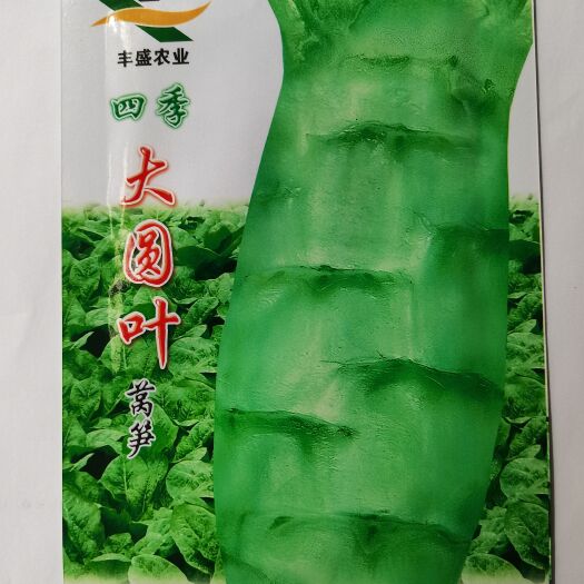 武汉白皮圆叶莴笋种子耐热耐寒秋播白皮绿肉莴苣种籽大田高产蔬菜种子