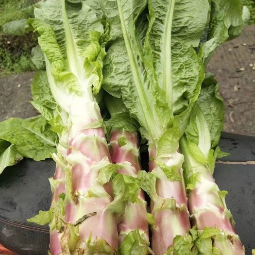 重庆市莴笋挂丝红莴笋红莴笋