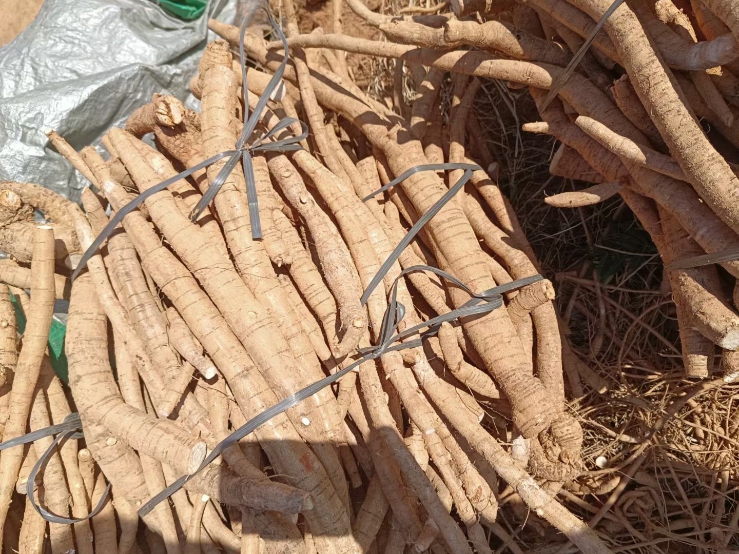 新鲜牛大力小叶牛统货，小叶次牛